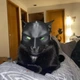 Маска для кота (бетмен) - зображення 5