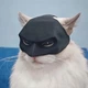 Маска для кота (бетмен) - зображення 6