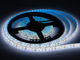 Светодиодная лента 1 м Lemanso LM849 SMD2835 120 LED 12В 10Вт/м 720Lm IP65 6500К холодный белый - изображение 2