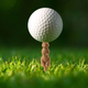 Uchwyt na piłki golfowe Kikkerland Gopher Golf Tee 6 szt. (0612615122963) - obraz 3