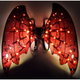 Рухомі електричні крила для дітей RIAS Shadow Angel №2 з підсвічуванням Red-Black (3_05816) - зображення 2