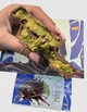 Дубайський шоколад Coral Chocolatier з фісташковою начинкою та катаїфі 200г - зображення 8