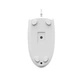 Мишка A4Tech N-530 USB White (4711421987479) - зображення 4