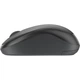 Мишка Logitech M240 Silent for Business Wireless/Bluetooth Graphite (910-007182) - зображення 2