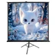 Проекционный экран ELITE SCREENS T136UWS1 мобильный тренога 136" 243.8x243.8см 1:1 - изображение 3