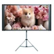 Проекционный экран EPSON ELPSC21 мобильный тренога 80" 183.1x106.6см 16:9 - изображение 6