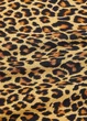 Піжама Victoria's Secret M леопардовий (7000R419570QBTM.S) - зображення 4