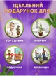 Інтерактивна дитяча іграшка, великий, співаючий, танцювальний (танцюючий) кактус повторюшка для дітей, з підсвічуванням, на акумуляторі Grant + USB шнур - зображення 7