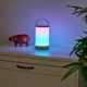 Настільний світильник з акумулятором TE-060RGB+3000K+IC, USB Brille 25-415 - изображение 7
