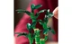 Конструктор Lego Botanicals Бамбук счастья, 325 деталей 10344 - изображение 5