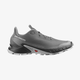 Мужские кроссовки SALOMON ALPHACROSS 5 (473133) 45 (29 см) - изображение 1