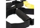 Петли EasyFit TRX PRO Pack-2 (P2) (EF-2356) - изображение 2