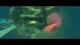 Ключ активации DROS для Xbox One/Series S/X - изображение 7