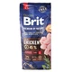 Сухий корм з куркою Brit Premium Junior L Бріт Преміум для цуценят великих порід 15 кг (8595602526437) - изображение 3