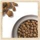 Сухий корм з куркою Purina Dog Chow Пуріна Дог Чао для активних собак 2,5 кг (7613034487858) - зображення 8