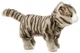 Іграшка м'яконабивна, музична Uni-Toys P30234-2 Котик Сірий - зображення 2