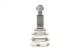 ШРКШ зовнішній Subaru Justy/Suzuki Ignis 03- 25/28z - 771 0546 30 FAG - зображення 3