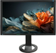 Монитор 24.1" Eizo FlexScan S2402w FullHD TN VGA/DVI Speakers Б/У - изображение 1