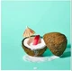 Натуральний бальзам для губ EOS Coconut Milk зволожуючий - зображення 6
