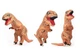Надувной костюм Тираннозавра T-Rex для вечеринок - изображение 4