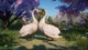 Дополнение Planet Zoo: Eurasia Animal Pack для ПК (Ключ активации Steam) - изображение 2
