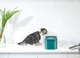 Фонтан поилка Petkit Eversweet Solo Electric Pet Cat/Dog P4103 Green - изображение 2