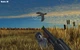 Гра Big Buck Hunter Arcade для ПК (Ключ активації Steam) - изображение 4