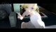 Игра Catherine Classic для ПК (Ключ активации Steam) - изображение 2