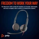 Наушники Poly BlackWire C3225 USB-C HS Stereo +3.5mm Plug +USB-C/A Adapter (Bulk) Black (8X229A6) - изображение 2