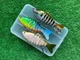 Набір Воблерів Swimbait караcь на щуку 100m\15g в коробці (8128-н2) - зображення 2