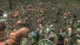 Дополнение Mount and Blade: Warband - Viking Conquest Reforged Edition для ПК (Ключ активации Steam) - изображение 3