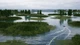 Гра Fishing Sim World: Pro Tour для ПК (Ключ активації Steam) - изображение 2