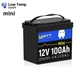 Аккумуляторная мини батарея WattCycle 12V 100Ah Mini EVE LiFePO4 9.5 кг - изображение 2
