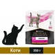 Сухой корм Purina Pro Plan Veterinary UR Urinary для кошек при мочекаменной болезни 350 г (7613287585080) - изображение 1