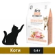 Сухой корм Brit Care GF Sensitive Healthy Digestion для кошек с индейкой и лососем 400 г (8595602540716) - изображение 1