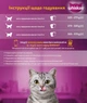 Корм вологий Whiskas для котів з куркою в соусі 400 г (5900951020889) - изображение 1