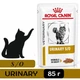 Вологий корм Royal Canin Urinary S/O Cat для котів для розчинення струменевих каменів та їх запобіганню 85 г (9003579010044) - зображення 1