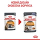 Корм вологий Royal Canin Hair&Skin Care in Jelly для котів для підтримки здоров'я шкіри та шерсті 85 г (9003579311721) - зображення 2