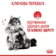 Корм вологий Royal Canin Hair&Skin Care in Jelly для котів для підтримки здоров'я шкіри та шерсті 85 г (9003579311721) - зображення 4