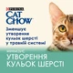 Корм вологий Cat Chow Hairball для котів для виведення шерсті з шлунку з куркою та зеленою квасолею в желе 85 г (7613037031393) - зображення 2