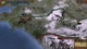 Доповнення Europa Universalis IV: The Cossacks - Content Pack для ПК (Ключ активації Steam) - изображение 3