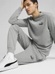 Спортивные штаны мужские Puma Ess No. 1 Logo Jersey Pants Cl 68261803 3XL Medium Gray Heather (4067983616396) - изображение 4
