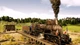 Доповнення Railway Empire - France для ПК (Ключ активації Steam) - зображення 4