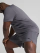Спортивные шорты для тренировок мужские Puma Tad Essentials 7" Woven Short 52591069 S Galactic Gray (4067984044921) - изображение 4