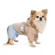 Одежда Pet Fashion Tina Дождевик для собак-девочек, бежевый/голубой M (1111180554) - изображение 2