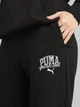 Спортивные штаны женские Puma Class Comfort Sweatpants Tr Cl 68503701 S Black (4067983637261) - изображение 5