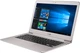 Ноутбук ASUS Zenbook UX306UA (UX306UA-FB111T) Gray - изображение 3