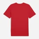 Футболка хлопковая длинная мужская Puma Mass Merchants Tee 68465911 S For All Time Red с принтом (4067983587276) - изображение 5