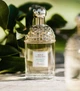 Туалетна Вода Guerlain Aqua Allegoria Bergamote Calabria 75 мл - зображення 8