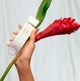 Туалетна Вода Elizabeth Arden White Tea Ginger Lily 50 мл - зображення 4